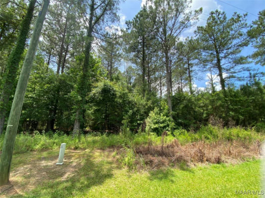 LOT 85 ROBINSON POND ROAD, PRATTVILLE, AL 36067, photo 3 of 6