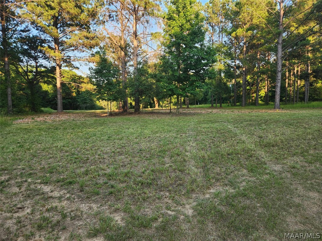 0 BEL RU LANDING, PRATTVILLE, AL 36067 Single Family Residence For Sale ...