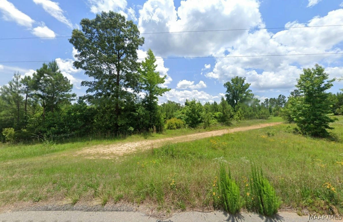 0 HIGHWAY 69 HIGHWAY, CAMPBELL, AL 36727, photo 1 of 5