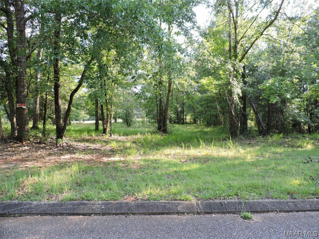 LOT 7B WHITE OAK WAY, GREENVILLE, AL 36037, photo 1 of 2