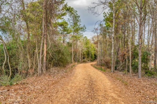 0 BRIDGE CREEK ROAD, PRATTVILLE, AL 36067, photo 4 of 47