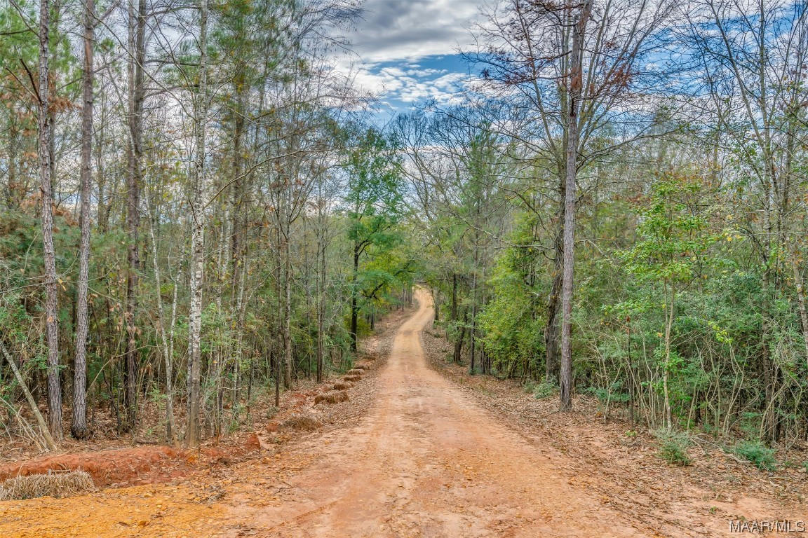 0 BRIDGE CREEK ROAD, PRATTVILLE, AL 36067, photo 1 of 47