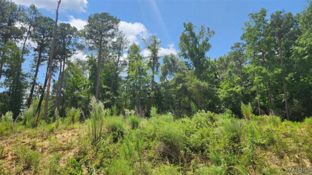 LOT 2&3 LAKESHORE DRIVE, TUSKEGEE, AL 36083 - Image 1